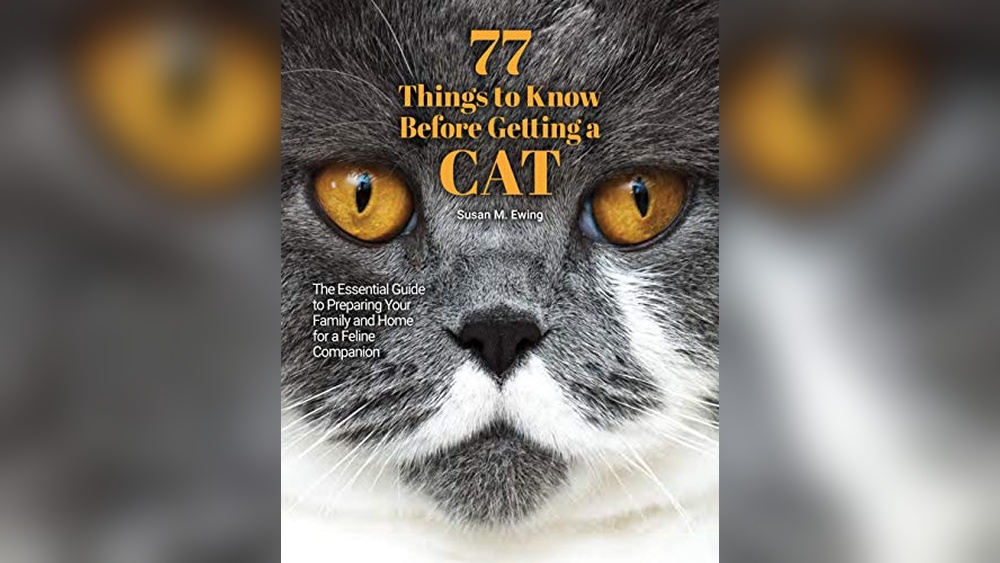 Best Time to Spay a Cat: Expert Tips for New Cat Owners