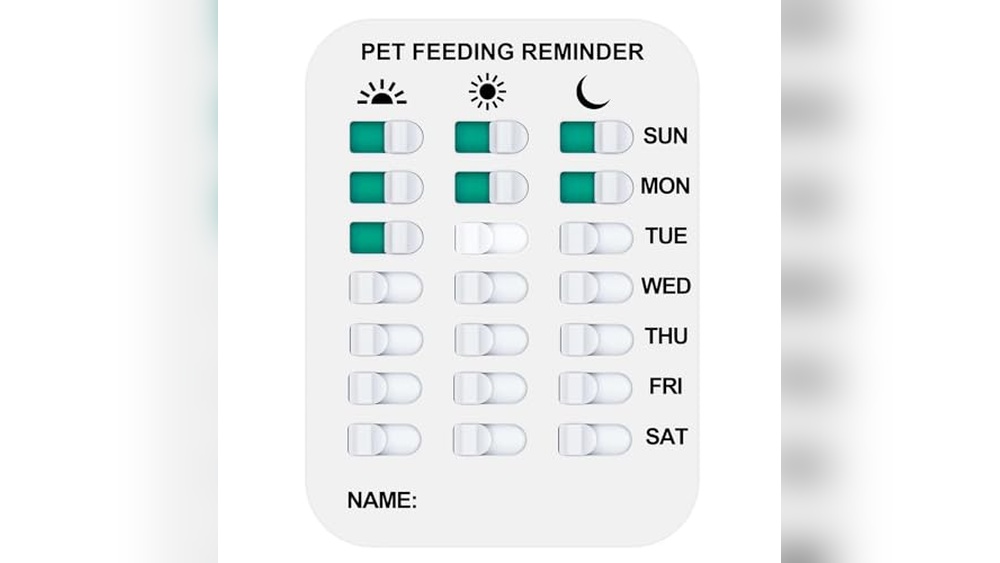Best Times to Feed Cat: Optimize Feeding with Automatic Dispensers