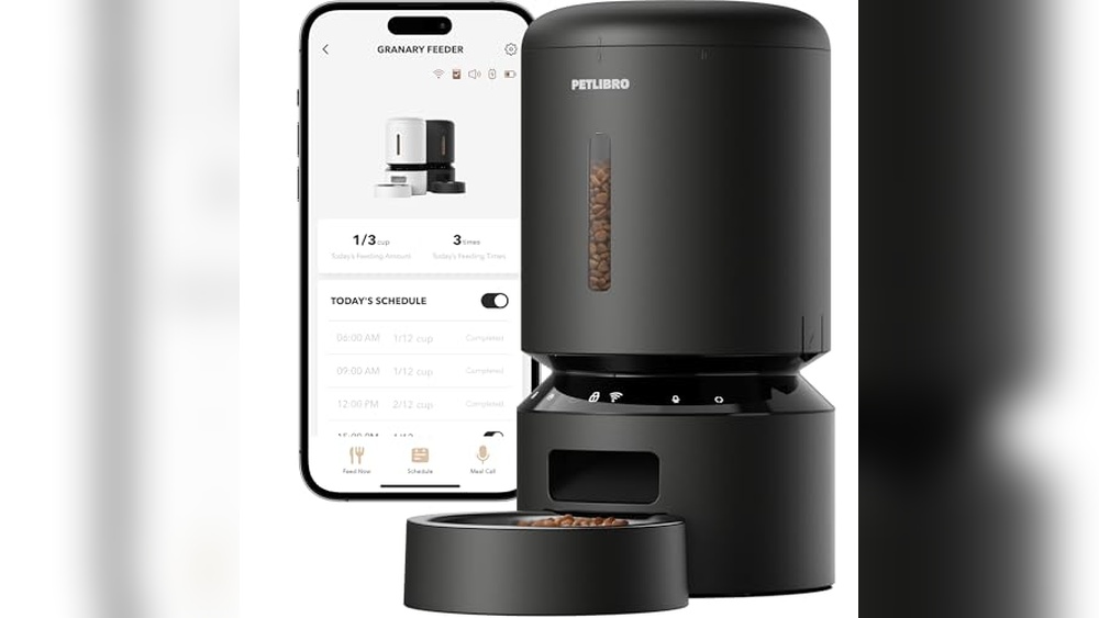 Best Times to Feed Cats for Health and Happy Mealtimes