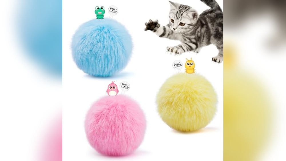 Best Toys for Blind Cats