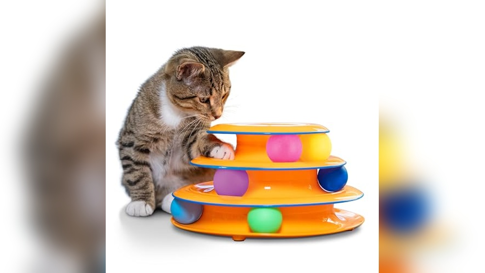 Best Toys to Keep Cats Entertained: Top Interactive Picks for Fun