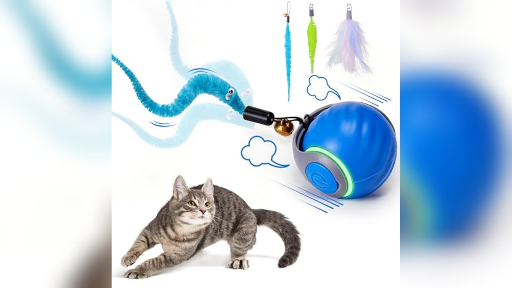 Best Toys to Keep Cats Occupied: Top Interactive Cat Play Essentials
