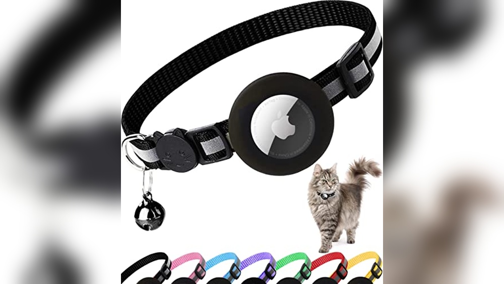 Best Tracking Collar for Cats