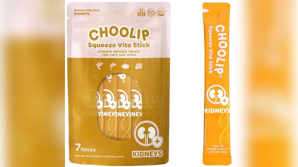 Best Treats for Cats With Kidney Disease: Top Kidney Support Snacks