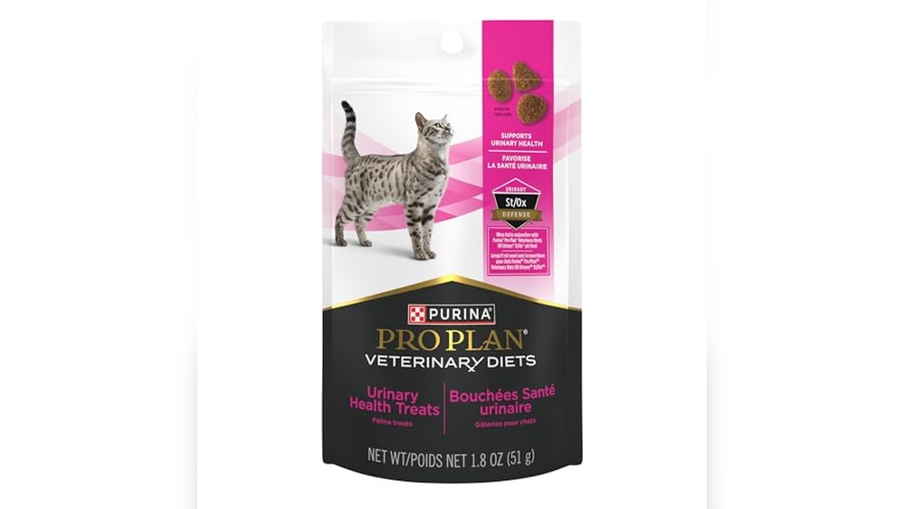 Best Treats for Cats With Urinary Issues: Top Vet-Recommended Choices