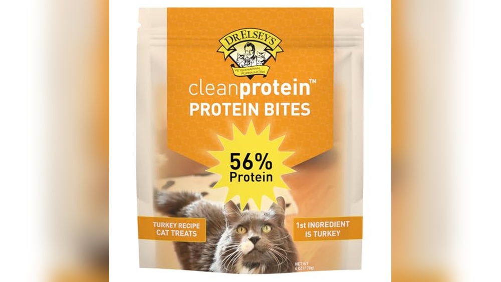 Best Treats for Diabetic Cats: Healthy, Low-Calorie Protein Bites