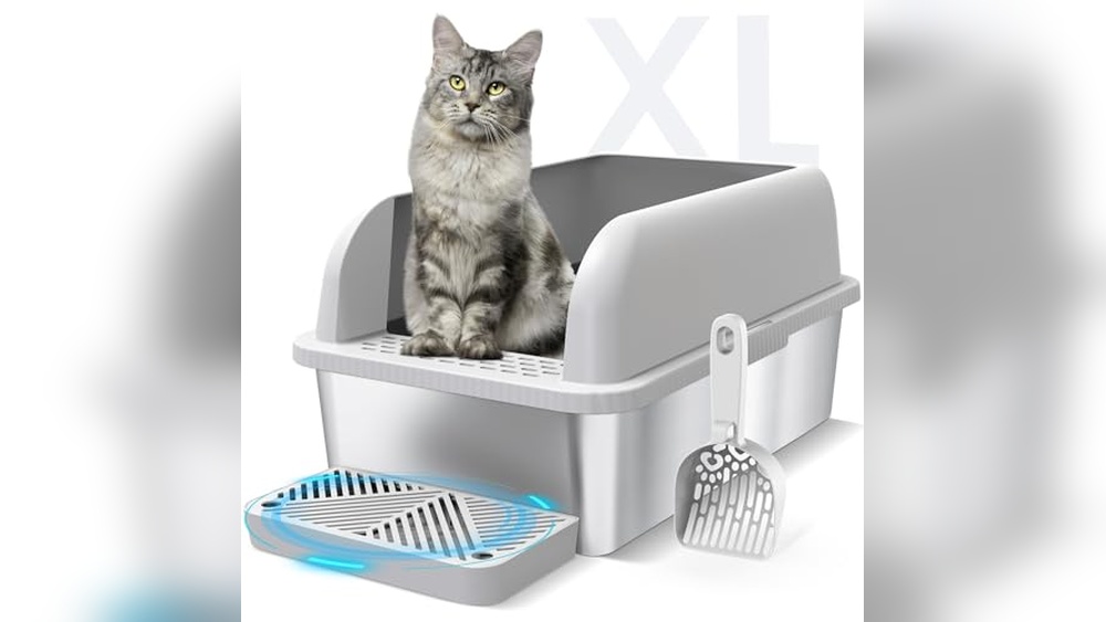 Best Type of Litter Box for Cats: Top XL Stainless Steel Options Reviewed