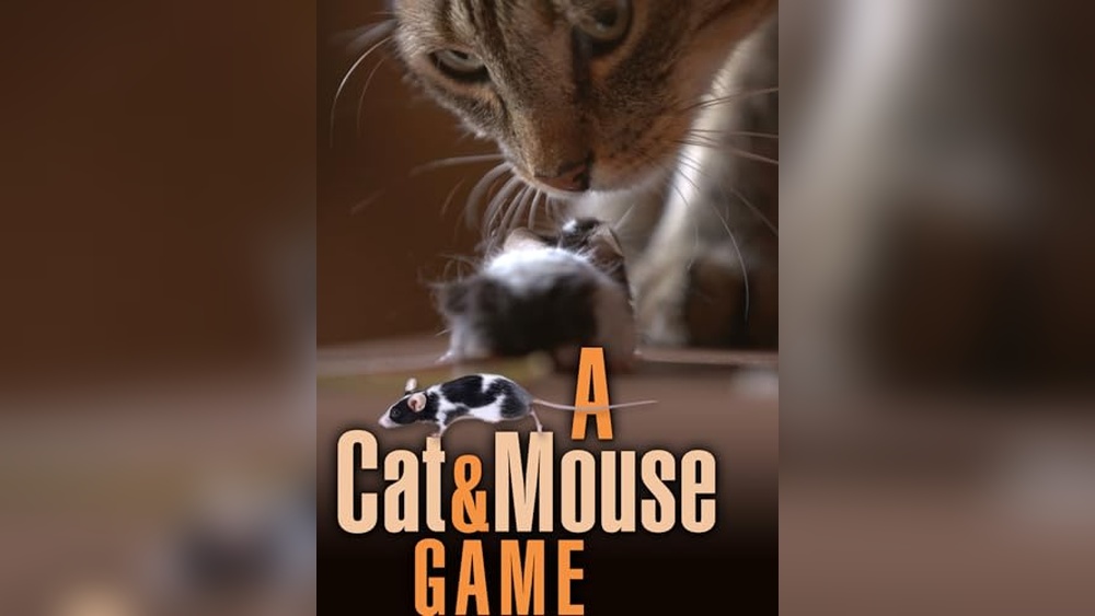 Best Videos for Cats to Watch: Top Entertaining Cat Videos Reviewed