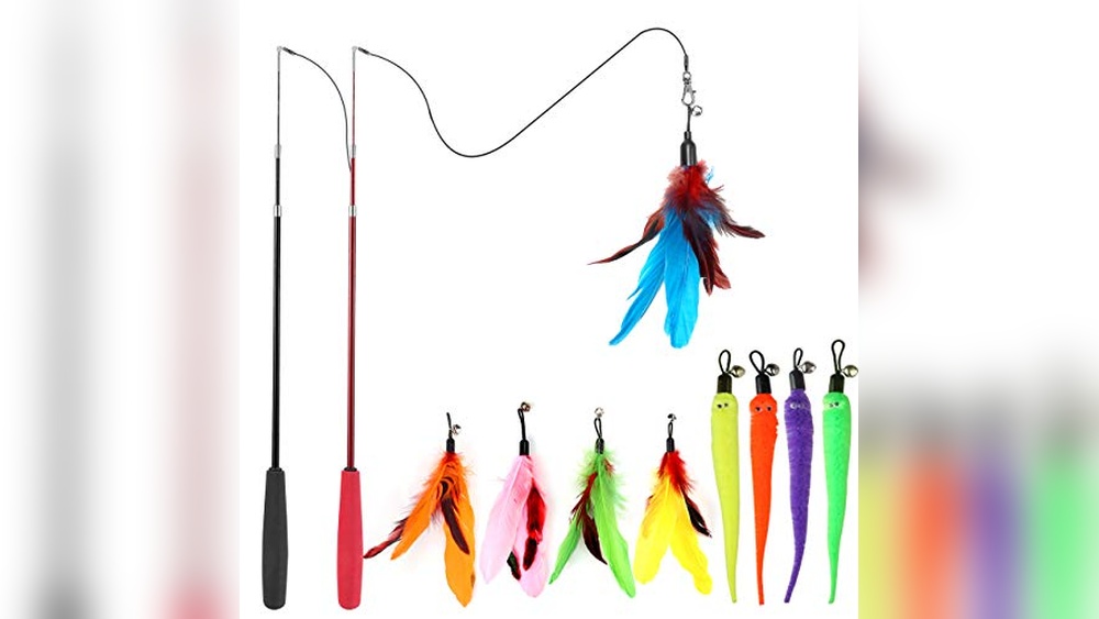 Best Wand Toys for Cats