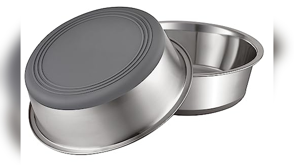 Best Water Dish for Cats: Top Non-Slip, Stainless Steel & Fountain Bowls