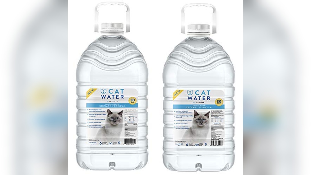 Best Water for Cats With Urinary Issues: Top Hydration Solutions Reviewed