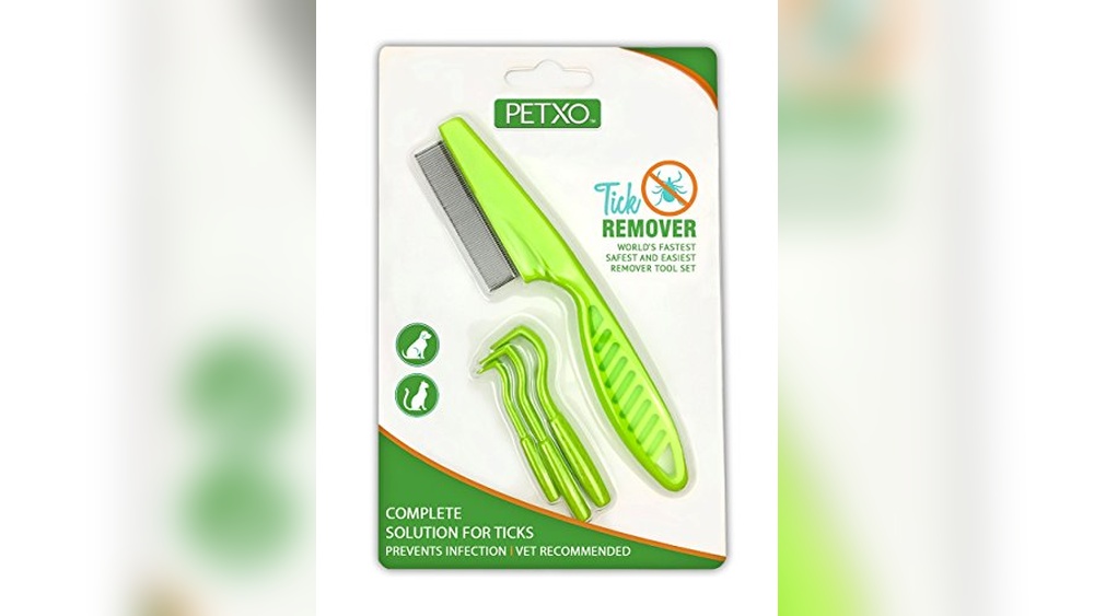 Best Way to Catch a Cat: Top Tools for Easy and Safe Handling