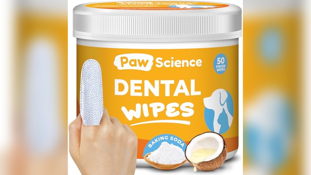 Best Way to Clean Cats Teeth: Top Dental Care Products Reviewed