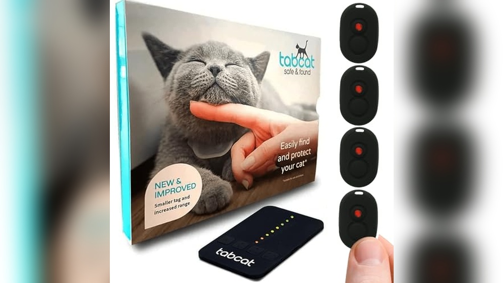 Best Way to Find a Lost Cat: Top Trackers for Quick Recovery