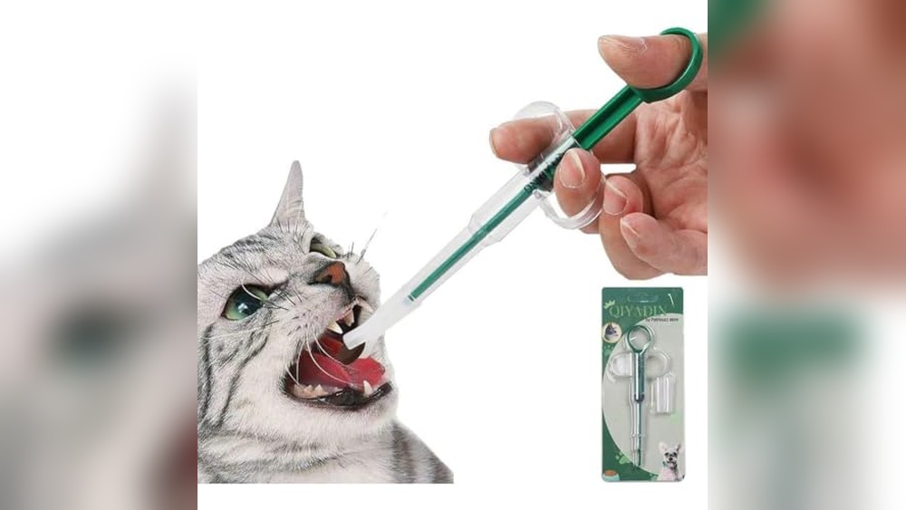 Best Way to Get Cats to Take Pills: Top Tools and Treats Reviewed