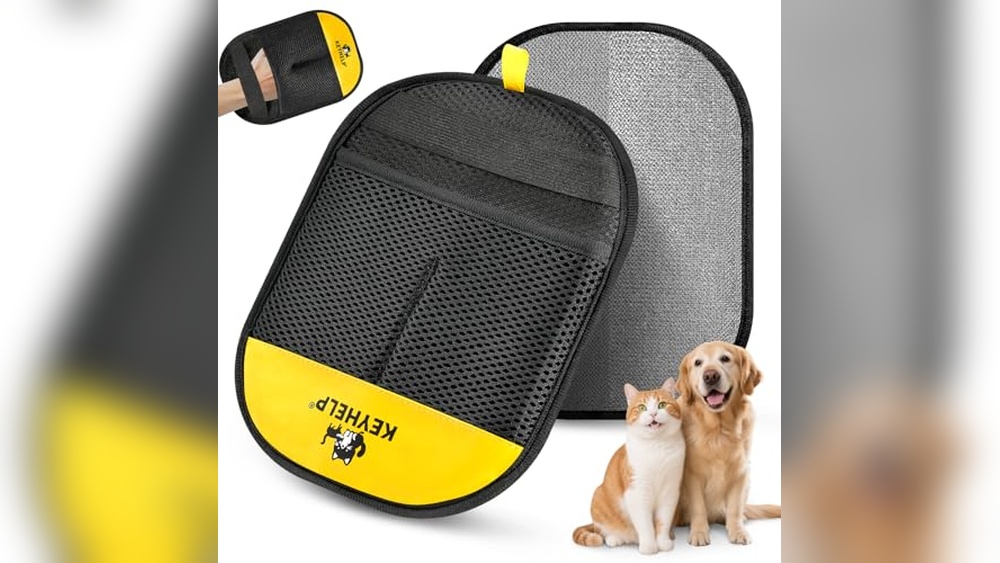 Best Way to Get Rid of Cat Hair Using Effective Removal Gloves