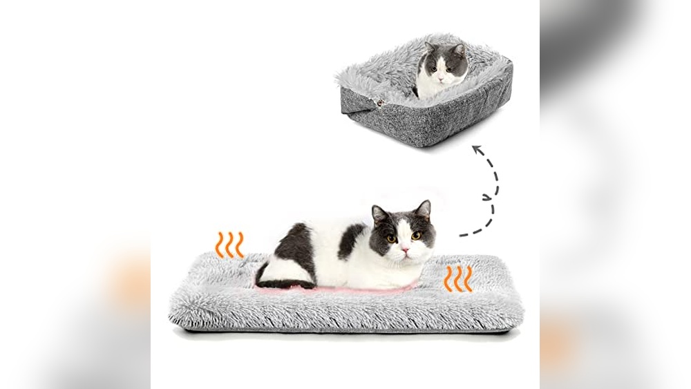 Best Way to Get Rid of Feral Cats with a Self-Warming Cat Bed