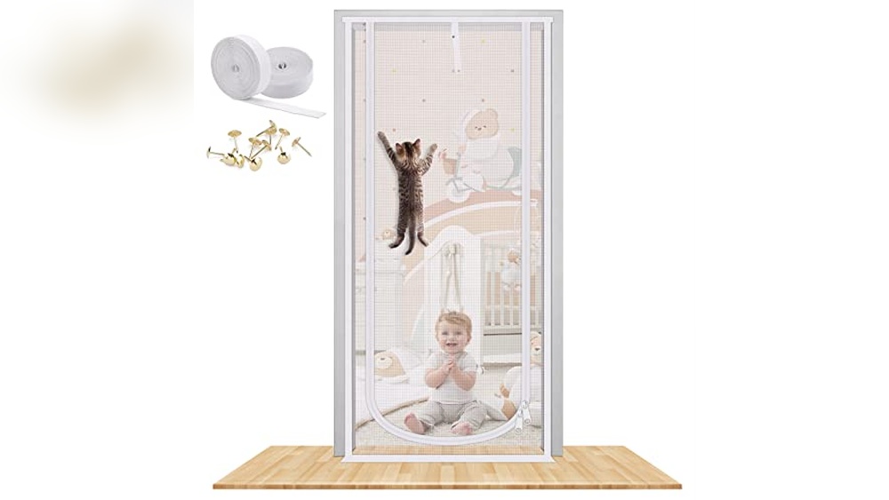 Best Way to Introduce a Cat And Dog for Peaceful Pet Harmony