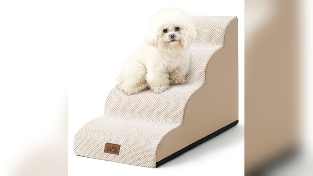 Best Way to Introduce a Dog and Cat Using Pet-Friendly Products