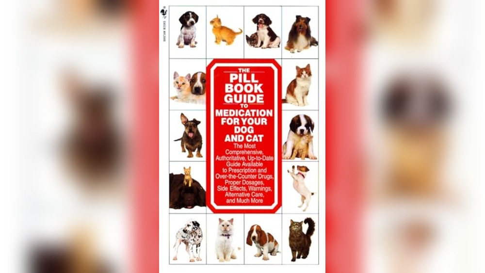 Best Way to Introduce Puppy to Cats: Top Training Tools and Tips