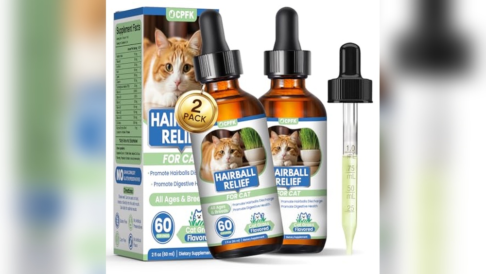 Best Way to Keep Cat Hair under Control with Top Grooming Solutions