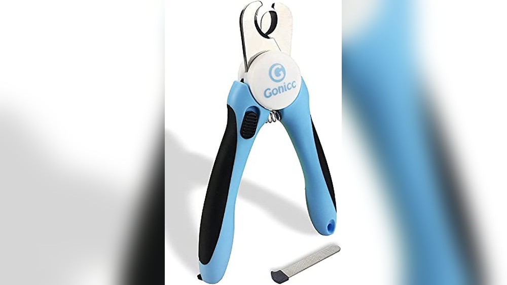 Best Way to Kill a Cat&rsquo;s Nails Pain-Free: Top Grooming Tools Reviewed