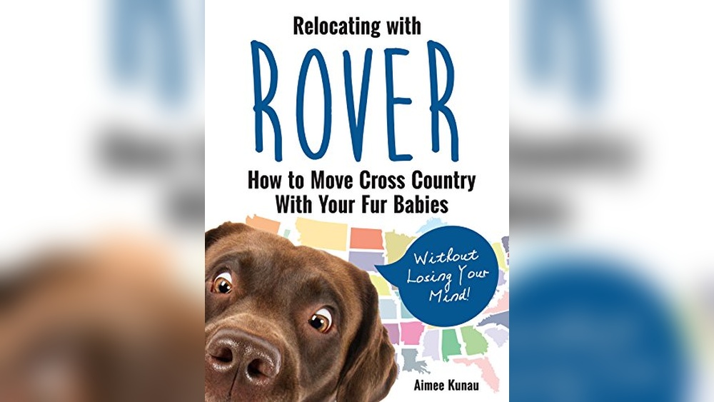 Best Way to Move Cats Across Country: Stress-Free Tips for Pet Owners