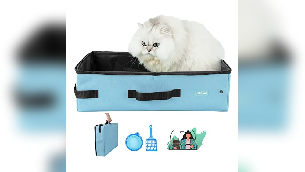 Best Way to Move Cats Long Distance with Portable Travel Cat Litter Box