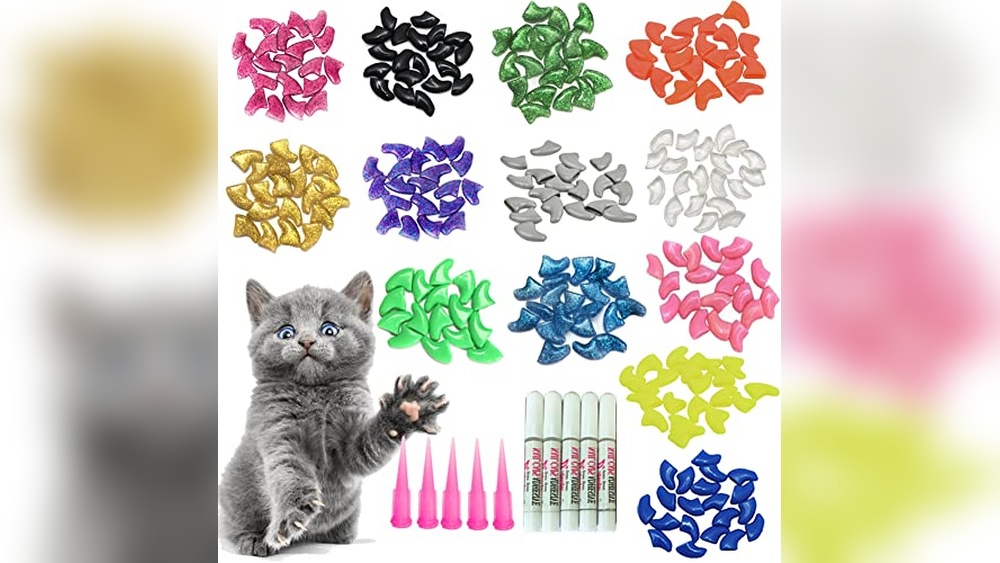 Best Way to Move Cats: Top Interactive Toys and Nail Caps for Control