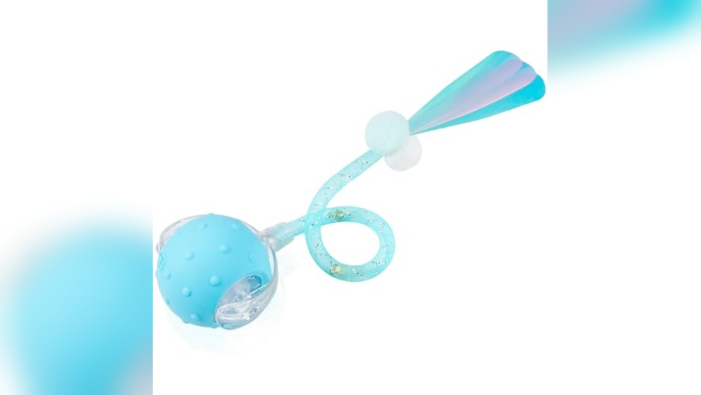 Best Way to Move With a Cat Using Interactive Moving Cat Toys