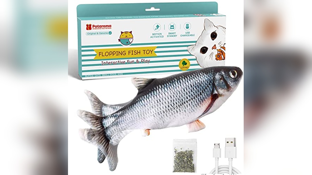 Best Way to Move With Cats