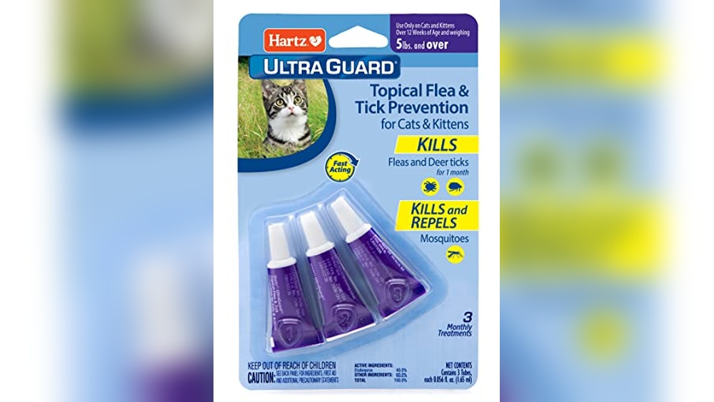 Best Way to Poison a Cat Myths Debunked: Safe Flea and Tick Solutions