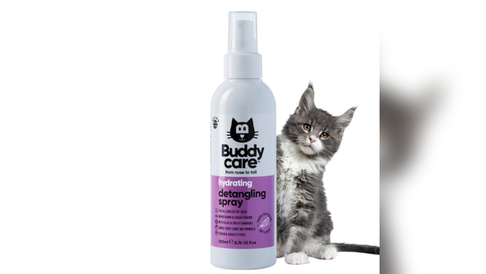 Best Way to Remove Matted Cat Fur: Top Tools for Smooth Coats