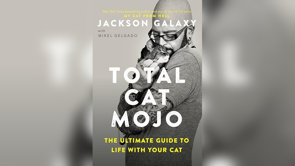 Best Way to Train a Cat: Expert Tips for Happy, Well-Behaved Cats