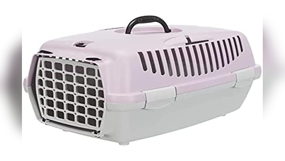 Best Way to Transport Cats Across Country