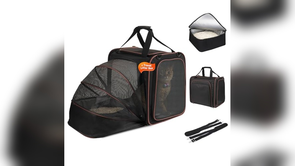 Best Way to Travel Cross Country With Cats: Top Carriers Reviewed