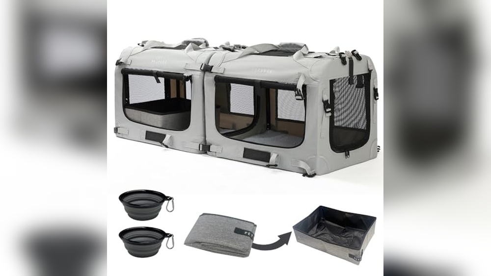 Best Way to Travel Long Distance With a Cat: Top Carrier Picks