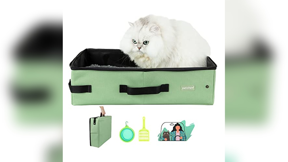 Best Way to Travel With Cats Long Distance: Portable Cat Litter Box Guide