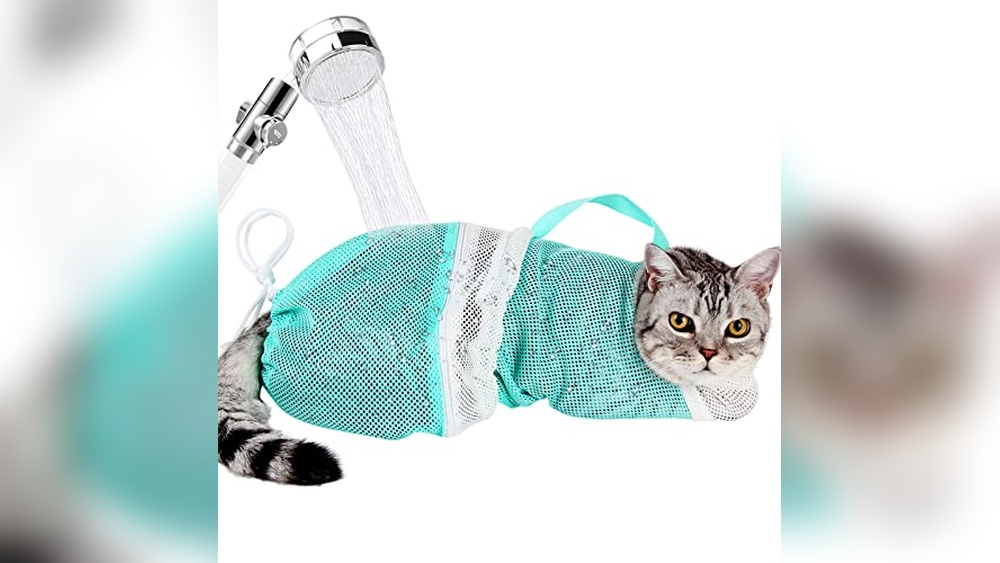 Best Way to Wash a Cat: Top Tools and Tips for Stress-Free Baths