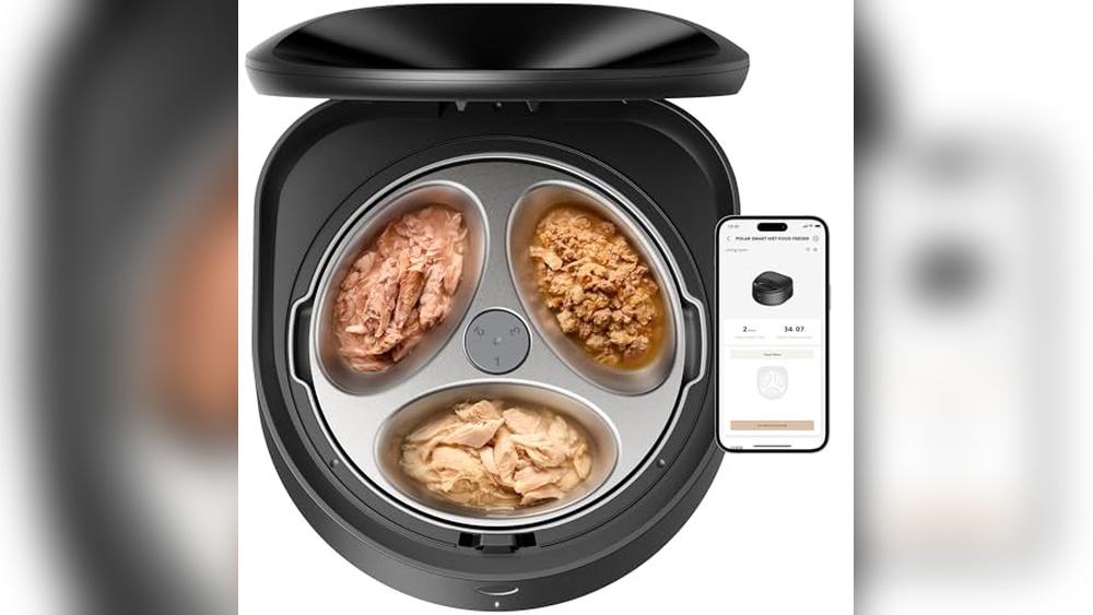 Best Wet Cat Food Automatic Feeder for Fresh and Timed Meals