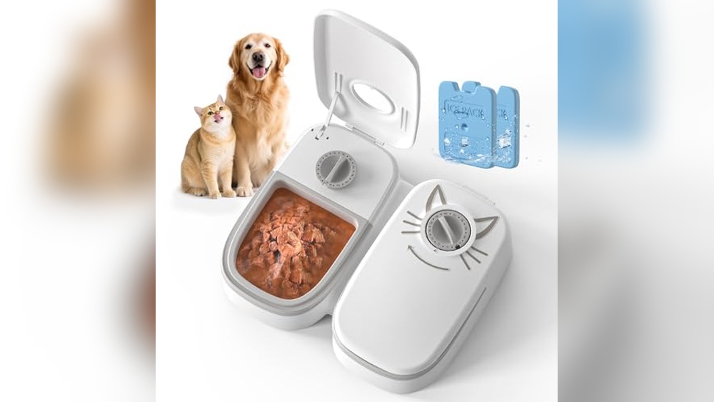 Best Wet Cat Food Feeder for Fresh, Timed, and Convenient Feeding Solutions