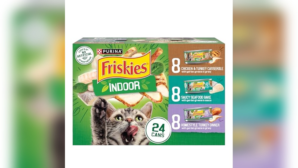 Best Wet Cat Food for Indoor Cats Reddit: Top Picks for Healthy Meals