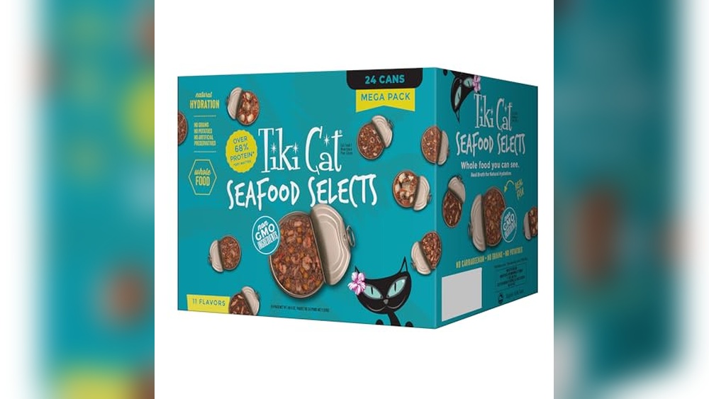 Best Wet Cat Food for Megacolon: Top Healthy Seafood & Grain-Free Picks