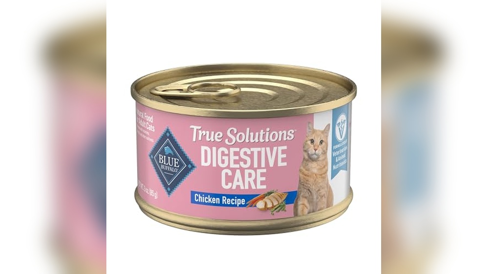 Best Wet Cat Food for Older Cats That Vomit: Top Gentle Choices