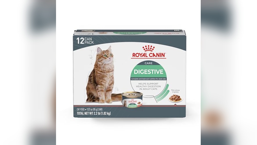 Best Wet Cat Food for Pancreatitis: Top Digestive Care Choices Reviewed
