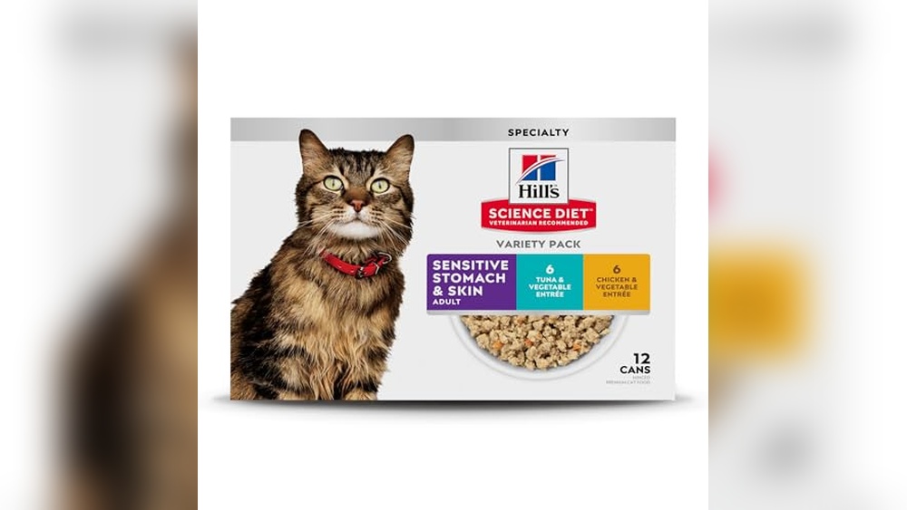 Best Wet Cat Food for Senior Cats With Sensitive Stomachs: Top Picks