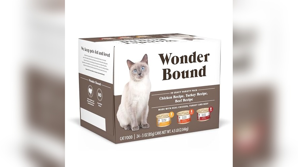 Best Wet Cat Food Made in USA: Top Tasty Choices for Your Feline