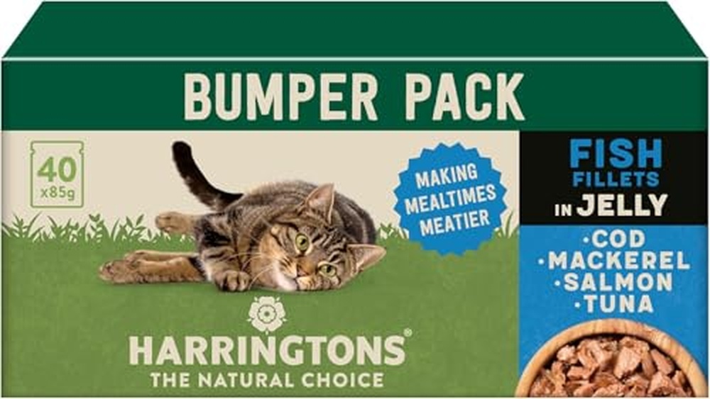 Best Wet Food for Cats With Allergies: Top Hypoallergenic Choices Reviewed