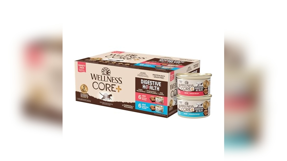 Best Wet Food for Cats With Cancer: Top Nutritious Choices Reviewed