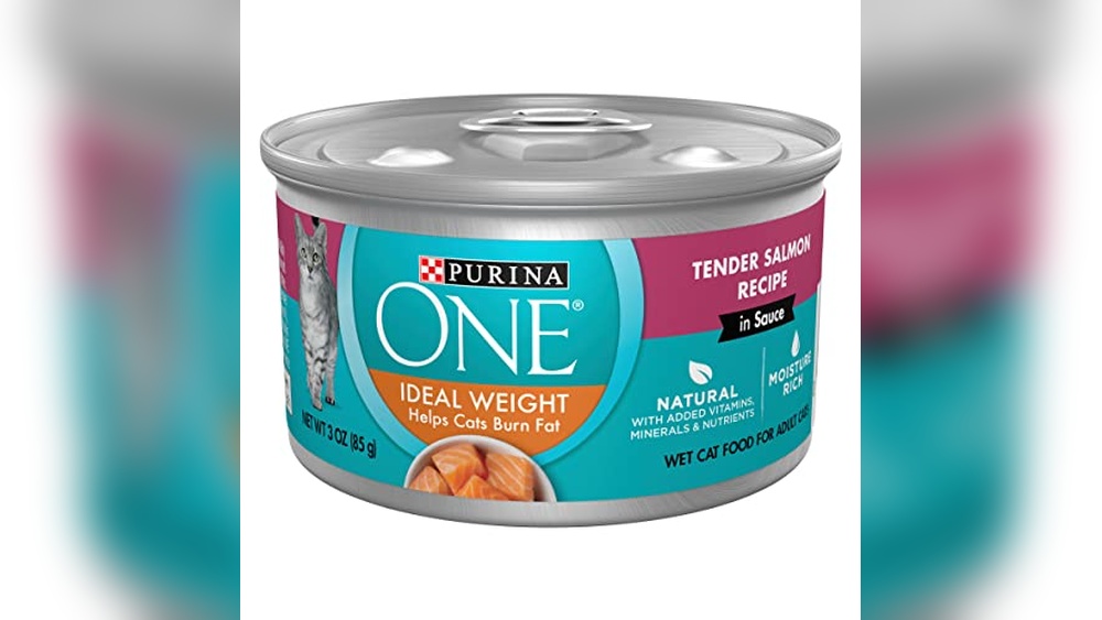Best Wet Food for Overweight Cat: Top Healthy Choices for Weight Control